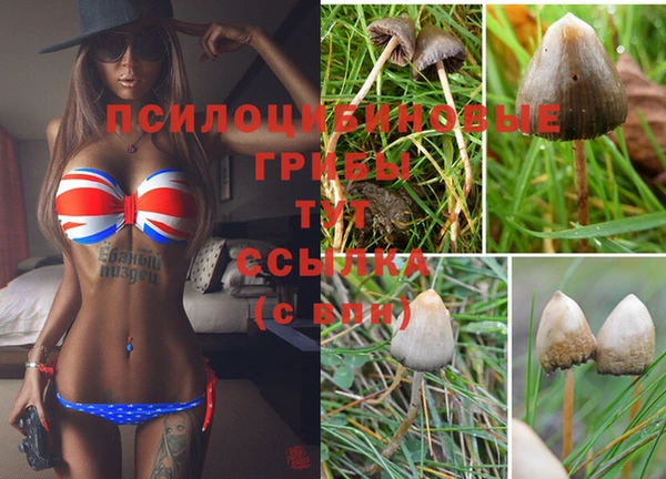 mix Абинск