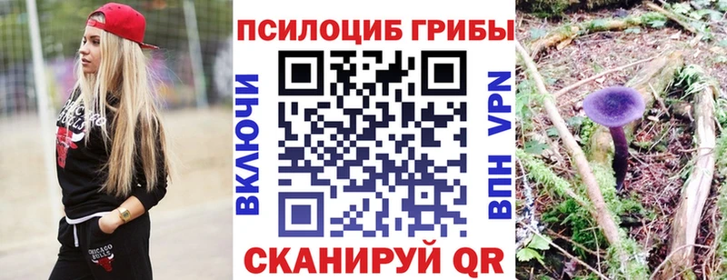 наркотики  Тула  Псилоцибиновые грибы ЛСД 