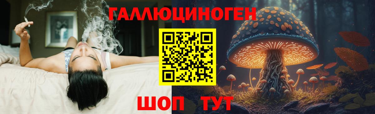 Псилоцибиновые грибы MAGIC MUSHROOMS  Галлюциногенные грибы MAGIC MUSHROOMS  Тула  Вход с VPN 